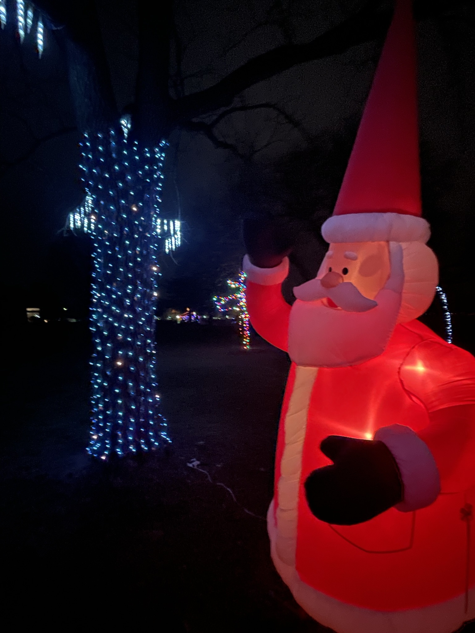 Chistmas lights and Santa Claus (blowup)