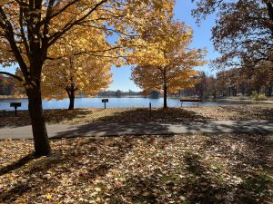 Beautiful Autmn trees alongside lake Olander