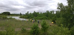 Employees with the Sylvania park system helping out