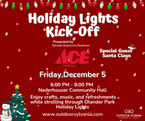 Free Holiday Lights in Sylvania Promo