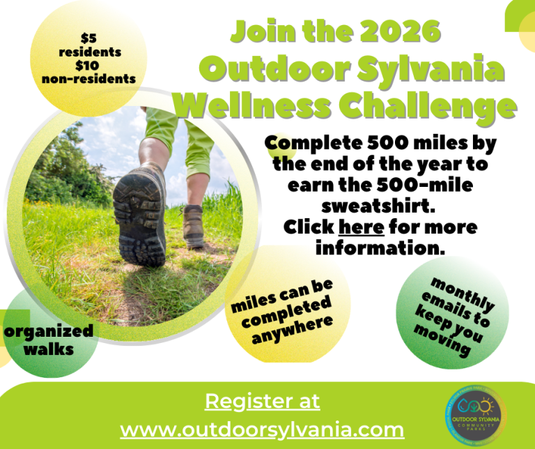 2026 Wellness Program