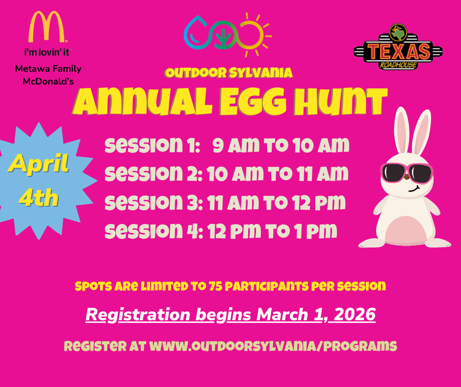 Annual Kids Egg Hunt