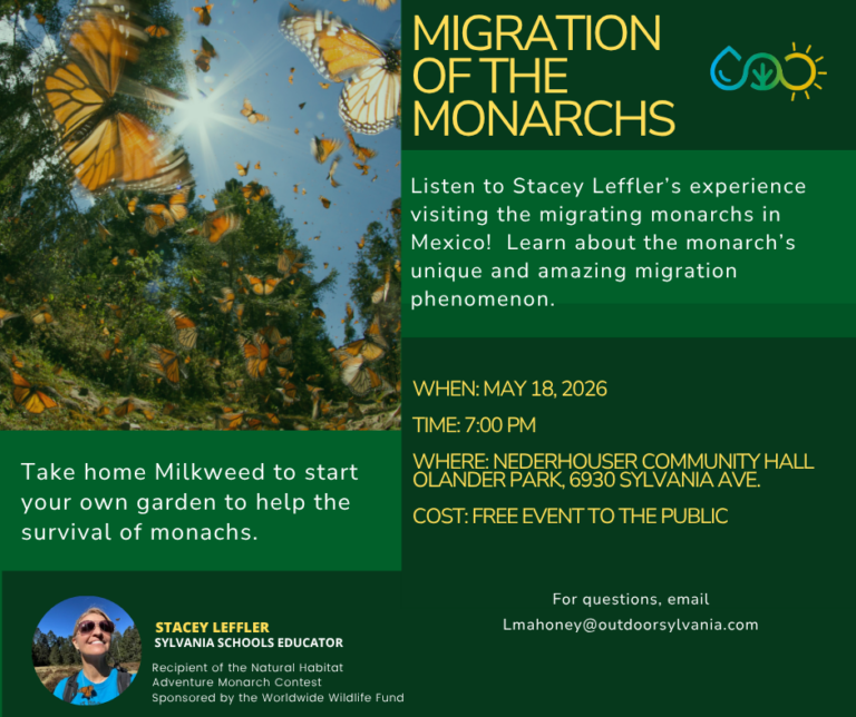 Migration of the Monarchs