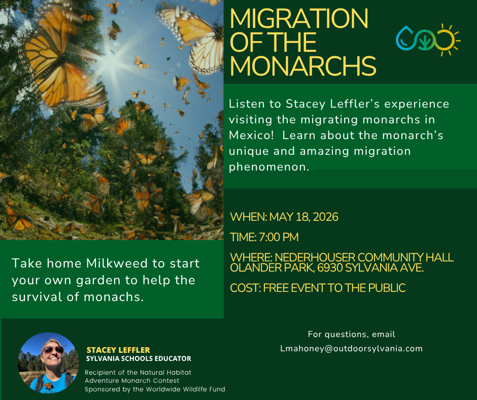 Migration of the Monarchs