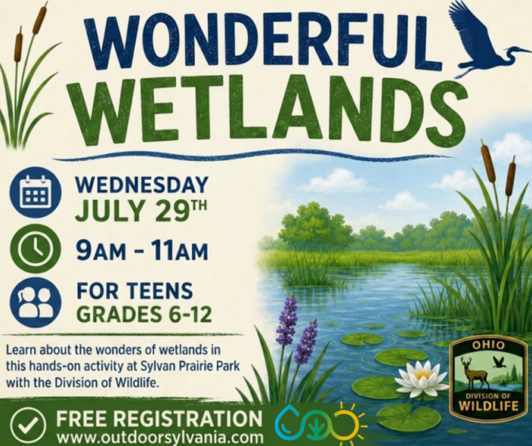Wonderful Wetlands
