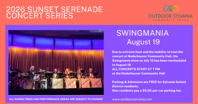 SWINGMANIA
