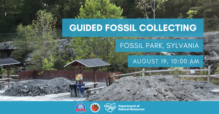 GUIDED FOSSIL COLLECTING